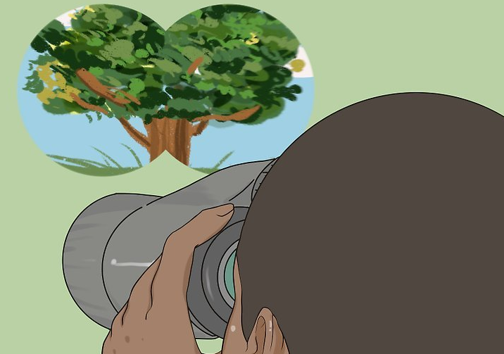 info-716-503 info-716-503